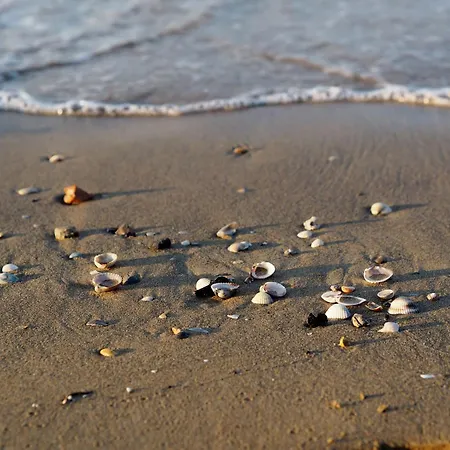 Apartman Seaside With Poolside Retreat *