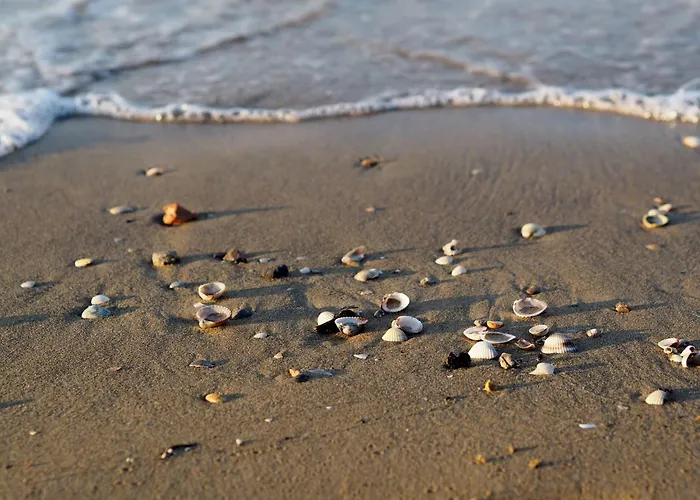Apartment Seaside With Poolside Retreat *